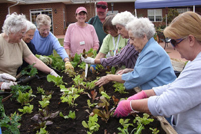 пожилым людям садоводство помогает сохранить память