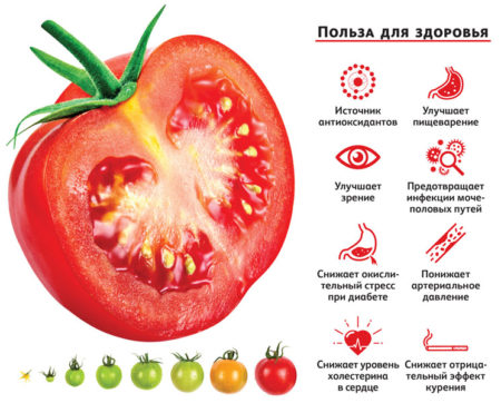 растительные соединения в томатах для здоровья человека