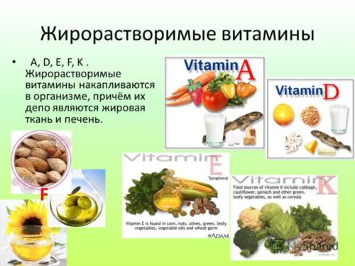 жирорастворимые витамины