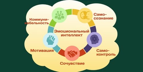 на чем основывается эмоциональный интеллект