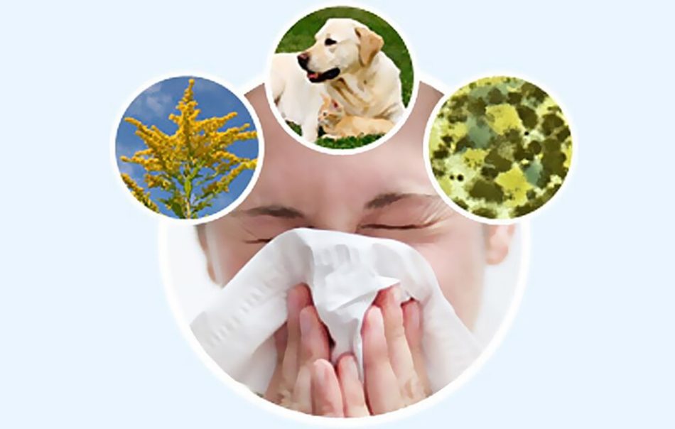 Диагностика аллергии - как выявить аллерген у взрослого