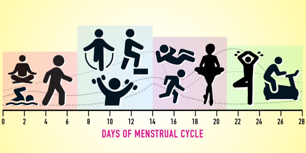Фазы менструального цикла - распознавание общих проблем