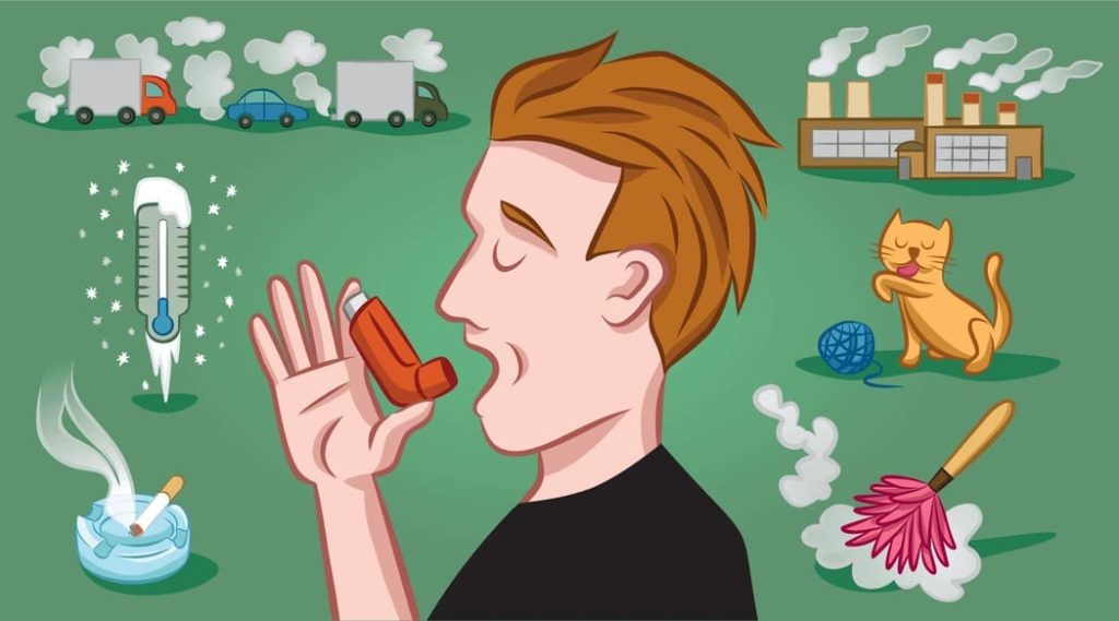 Факторы риска, причины и триггеры бронхиальной астмы